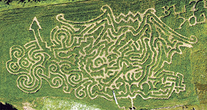 Pomysły na aktywne wycieczki międzypokoleniowe