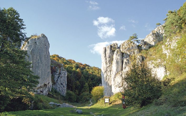 Trzeba chodzić! Jeśli teraz nie wyrobimy sobie kondycji, to kiedy?